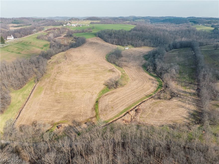 Parcel 2  - Parcel 2 consists primarily of open and tillable ground with 213 feet of road frontage. The gently rolling terrain makes it suitable for continued agricultural use or the development of a country homesite. This tract offers a nice balance of usability and accessibility.