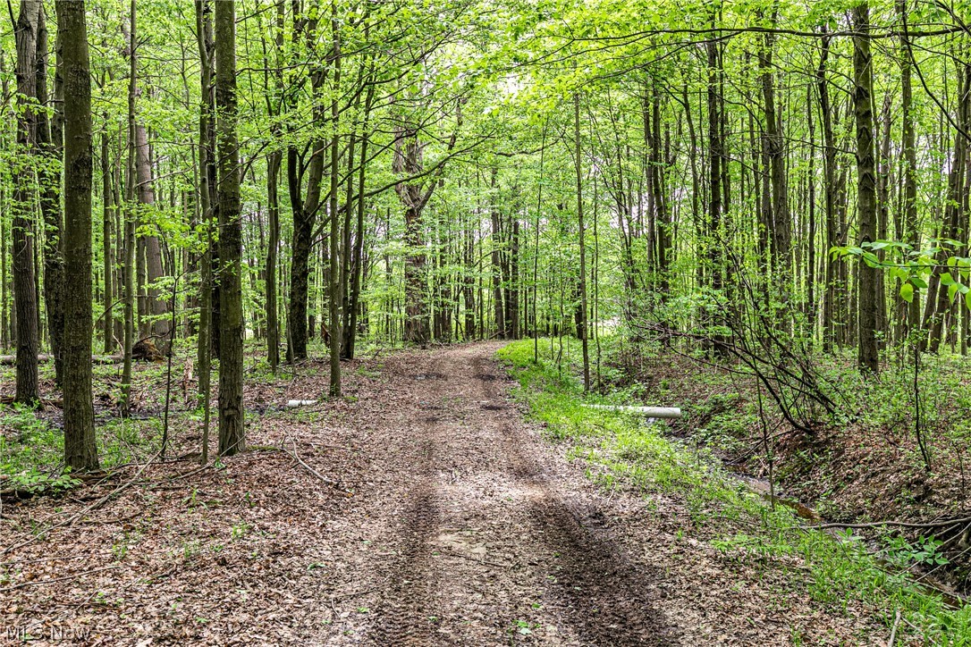 Montville Sec 15 - Residential