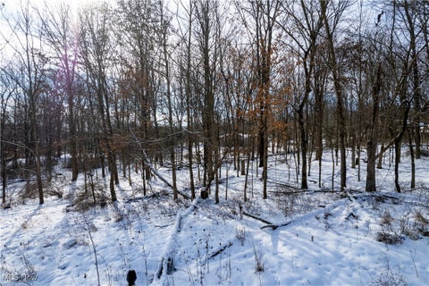 Photo for 0 Crestmonte, Lot #432 Drive