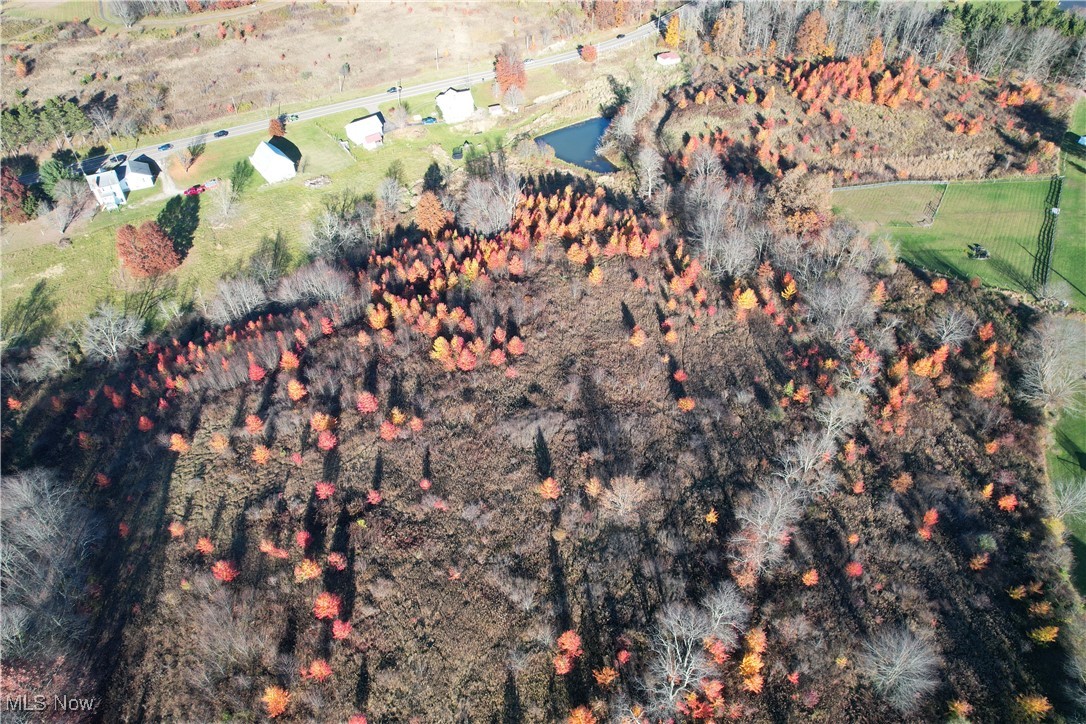 Roswell Road, Carrollton, Ohio image 11