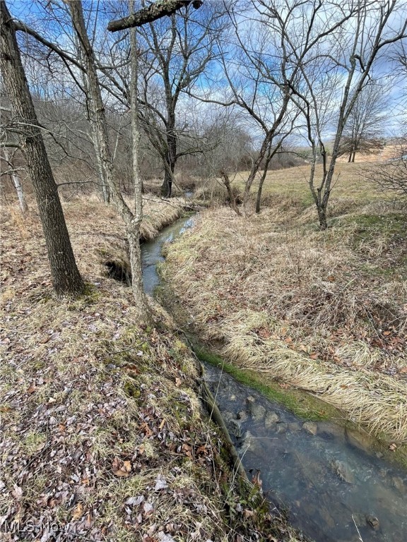 Roswell Road, Carrollton, Ohio image 17