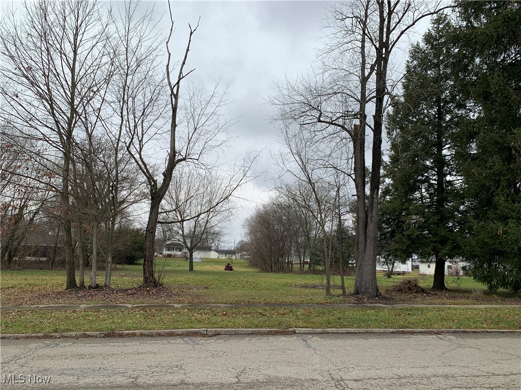 Summit Avenue, Niles, Ohio image 1