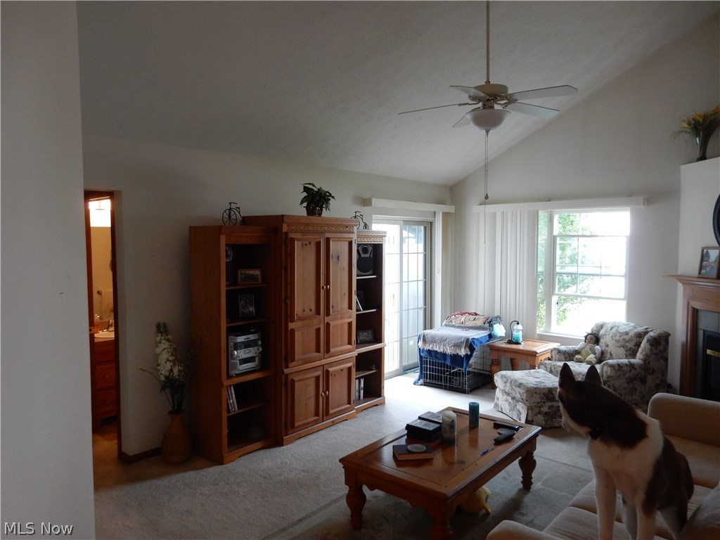 Willow Woods Condos - Residential