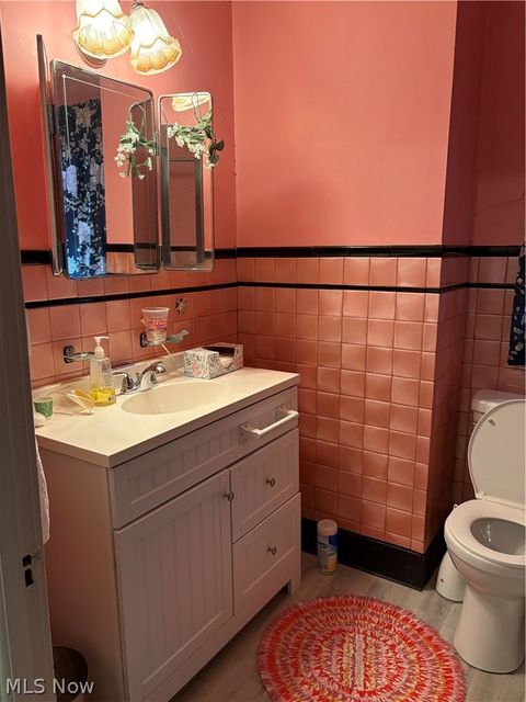 Tiny photo for 156 Halleck Street, Youngstown, OH 44505 (MLS # 5187048)