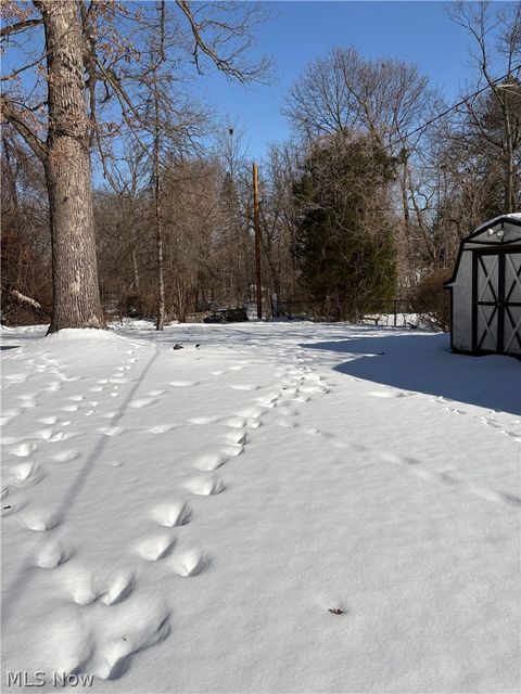 Tiny photo for 156 Halleck Street, Youngstown, OH 44505 (MLS # 5187048)