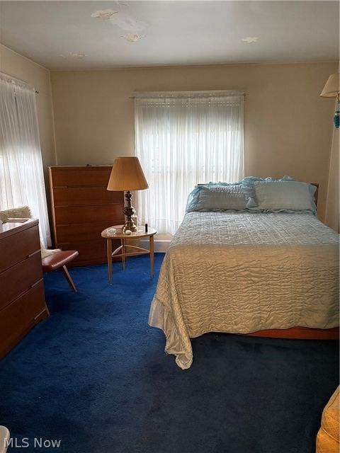 Tiny photo for 156 Halleck Street, Youngstown, OH 44505 (MLS # 5187048)