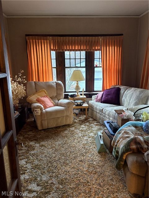 Tiny photo for 156 Halleck Street, Youngstown, OH 44505 (MLS # 5187048)