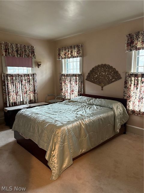 Tiny photo for 156 Halleck Street, Youngstown, OH 44505 (MLS # 5187048)