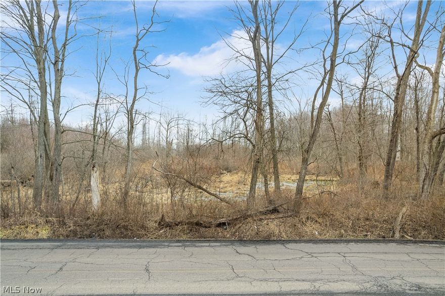 Welcome to opportunity with this versitle 12 acre lot. Two parcels that provide flat acreage that is partially wooded. Utilities are believed to be at the street. The site requires well and septic. Buyer to complete their own due diligence for the property.
