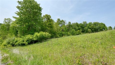 Vacant Land For Sale - 63580 Wintergreen Road<br/> Lore City, OH 43755