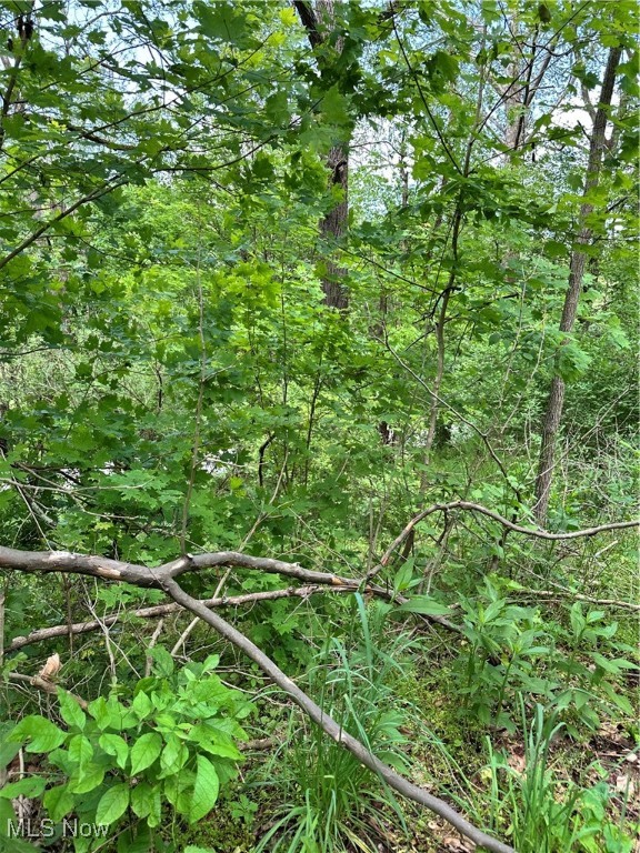 14568 Mt Perry Road, Mount Perry, Ohio image 3
