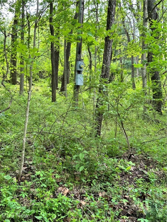 14568 Mt Perry Road, Mount Perry, Ohio image 5