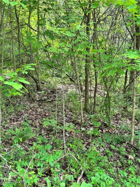 14568 Mt Perry Road, Mount Perry, Ohio image 7