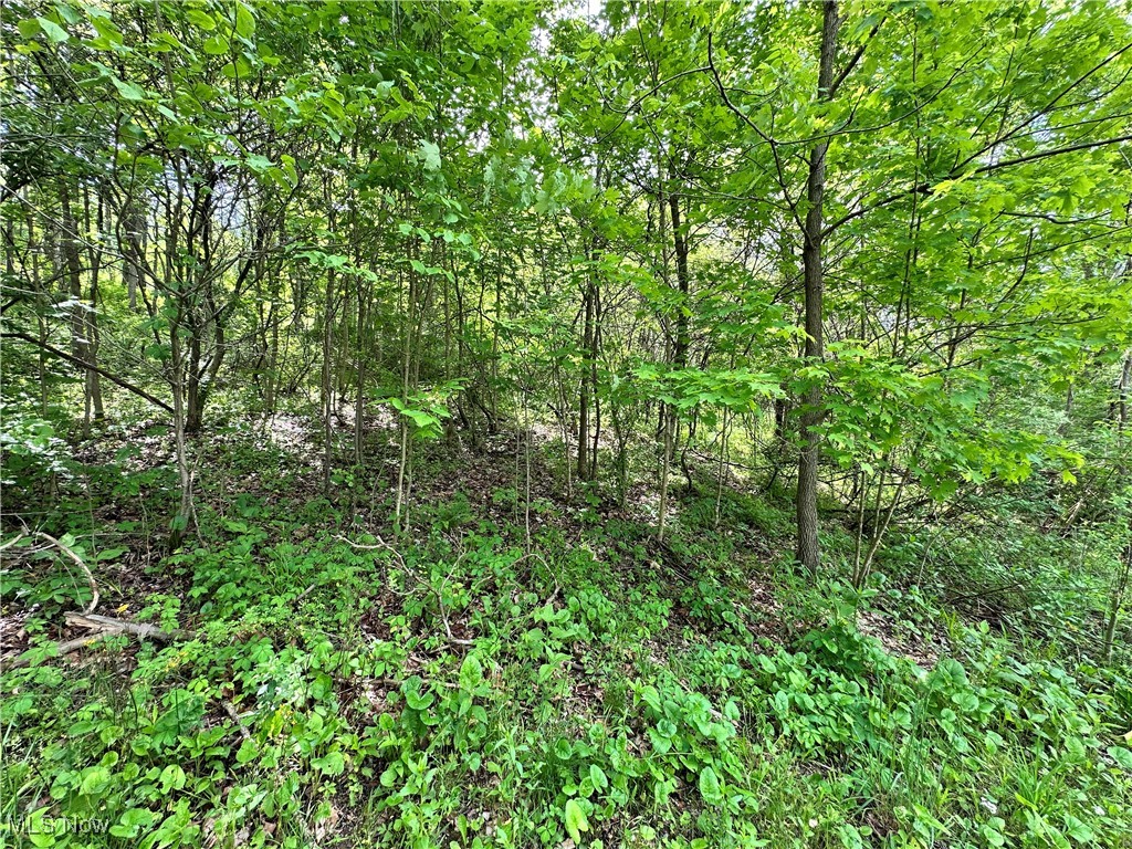 14568 Mt Perry Road, Mount Perry, Ohio image 8