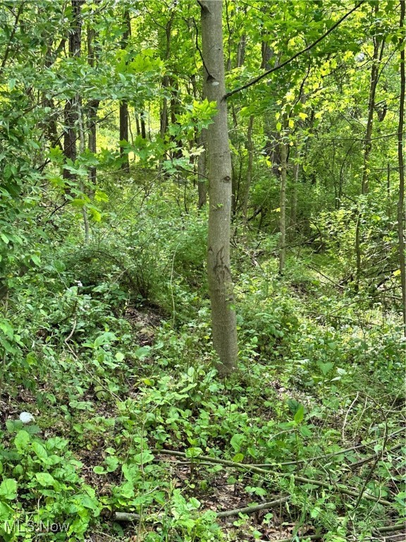 14568 Mt Perry Road, Mount Perry, Ohio image 6