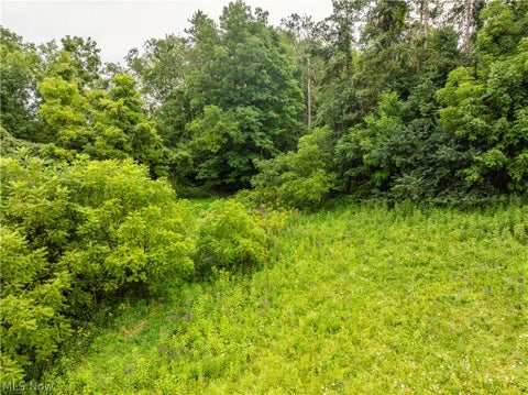 Vacant Land For Sale - 2428 Applegate Road<br/> Lucas, OH 44843