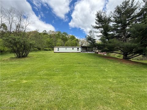 Photo of 7397 Hawkins Hollow Road SW, Stone Creek, OH 43840 (MLS # 5210379)