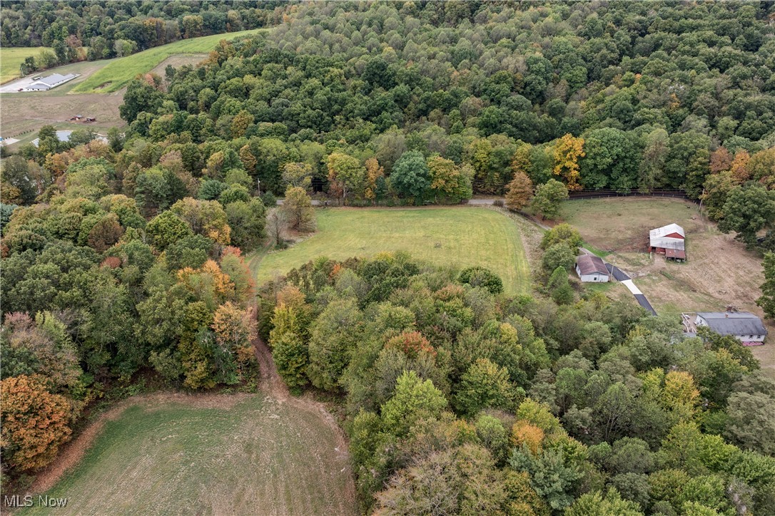 Cement Bridge Road, Dundee, Ohio image 3