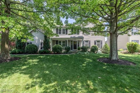 16216 Acacia Drive Strongsville OH 44136