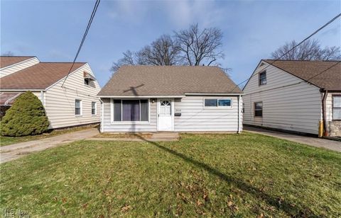 3910 Wetzel Avenue Cleveland OH 44109