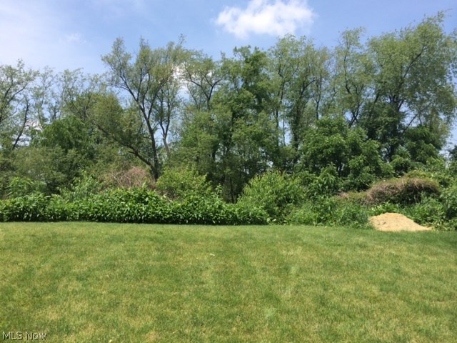 Burnham Hills East Allotment - Residential