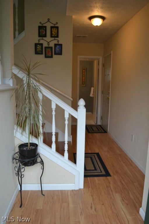 Mentor Garden Estates 01 - Residential