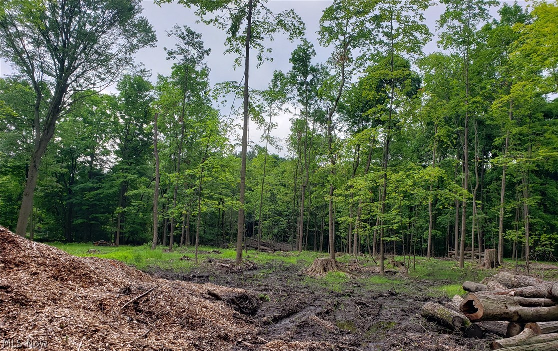 Creek Side Estate - Land