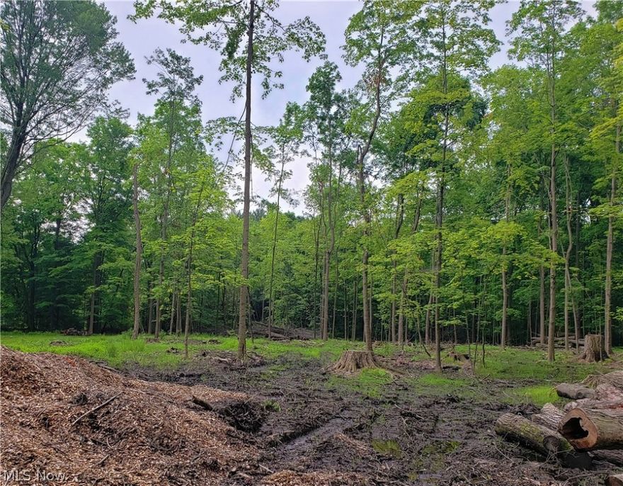 Beautiful lot sitting on a quiet Cul-de-sac.  Seller has started to clear the trees on the lot.  .87 Acre with a creek in the rear of the property. 
Choose your own builder.  Great location in kent. Back on the market through no fault of the lot.