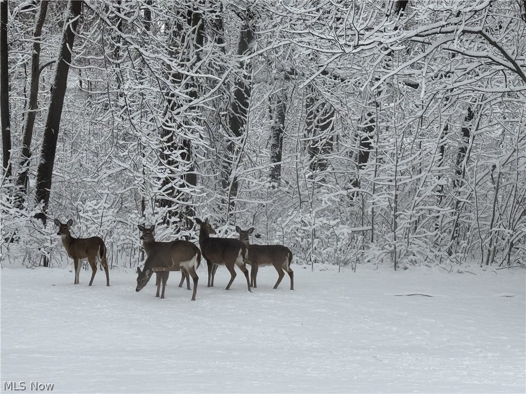 Hidden Valley Sub #1 - Residential