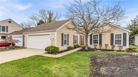 16460 Georgetown Court Strongsville OH 44136