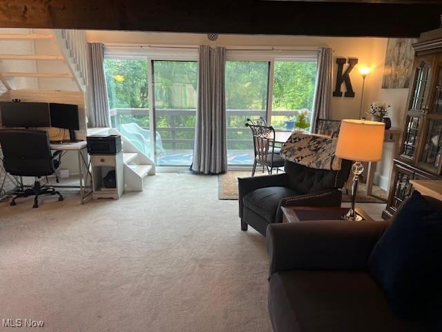 Penguin Condo - Residential