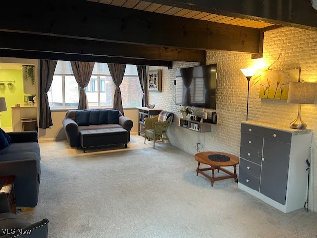 Penguin Condo - Residential