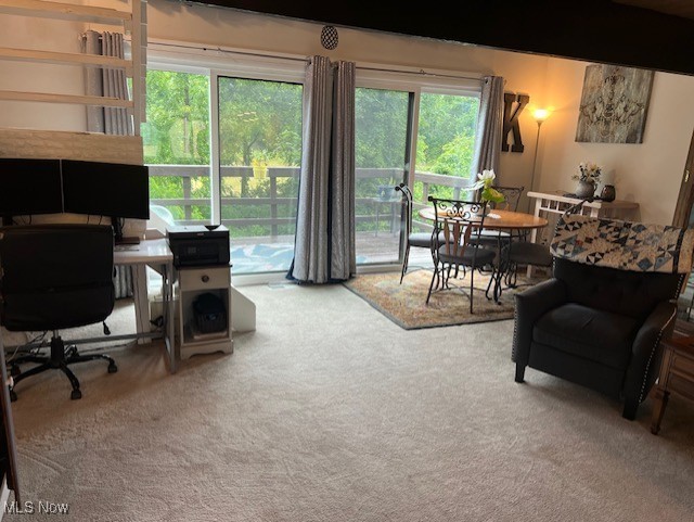 Penguin Condo - Residential