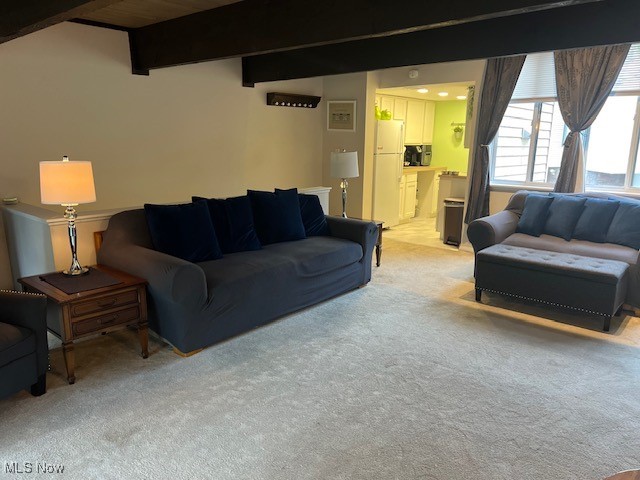 Penguin Condo - Residential