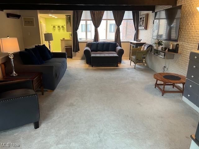 Penguin Condo - Residential