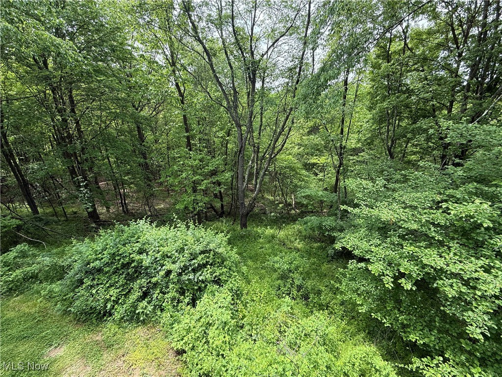 36 Choctaw Trail, Malvern, Ohio image 23