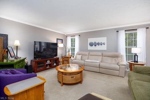 FIELDCREST - Residential