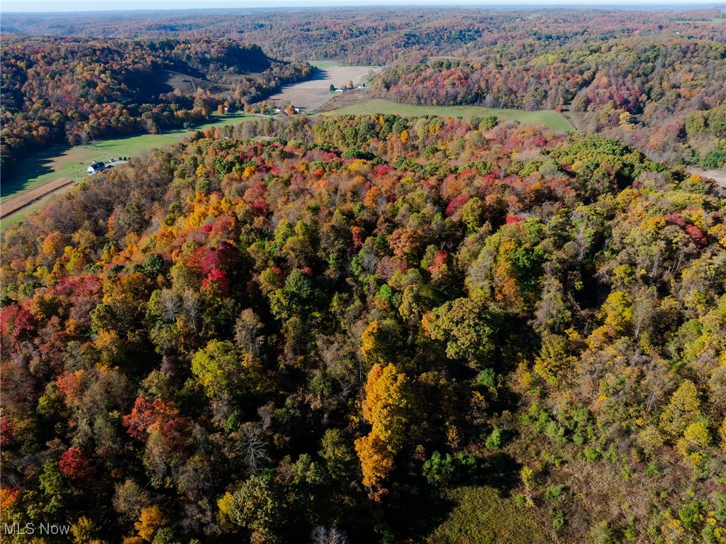 Kedigh Hollow Road, Newcomerstown, Ohio image 11