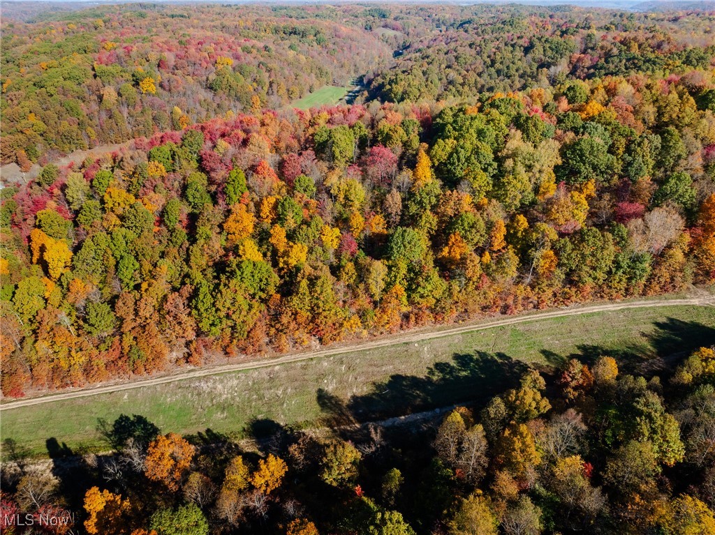 Kedigh Hollow Road, Newcomerstown, Ohio image 8