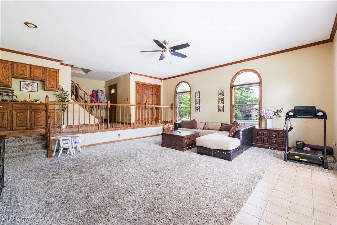 500 Stoneybrook Lane, Canfield, Ohio image 6