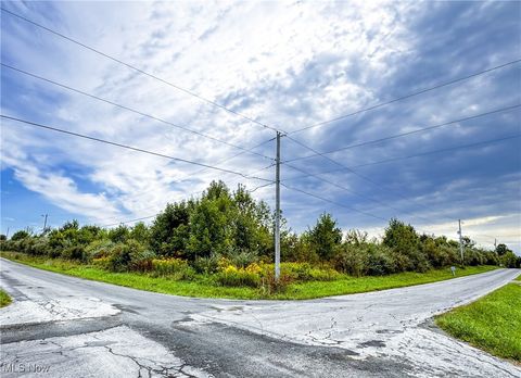 Vacant Land For Sale - Township Road 581<br/> Sullivan, OH 44880