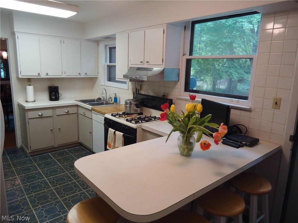 Silver Lake Estates - Residential