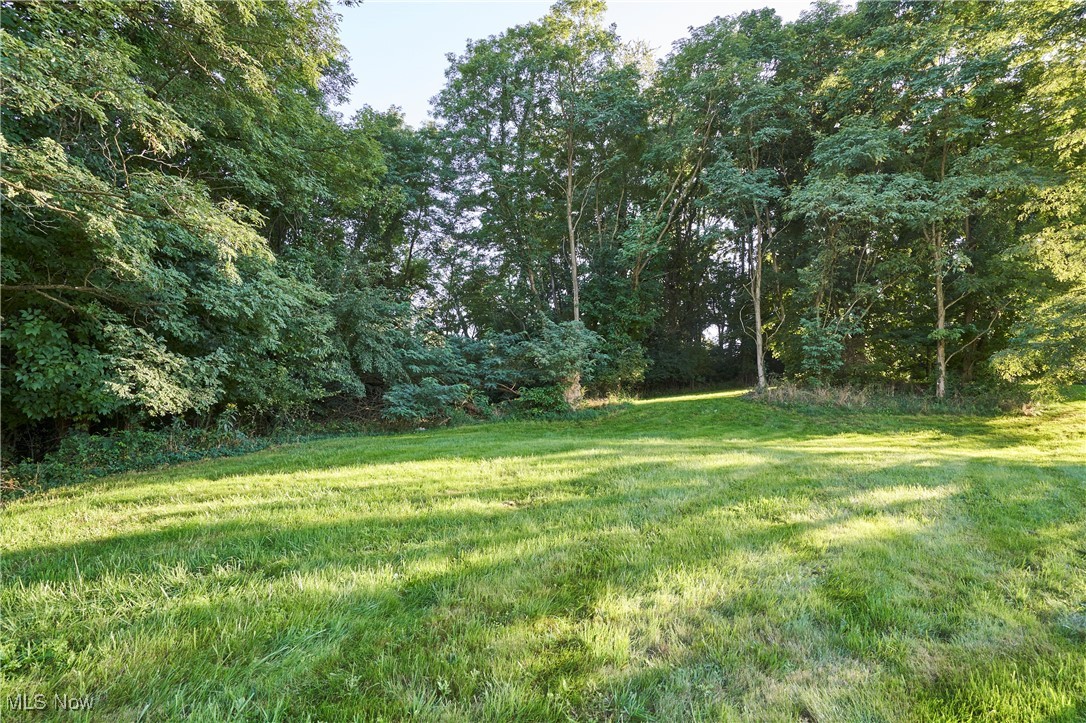 Build your dream home on this beautiful 1.5-acre lot tucked away on a quiet cul-de-sac in Arbour Green! Surrounded by mature trees, this property offers the perfect blend of privacy and natural beauty, while still being close to shopping, dining, schools & entertainment. Don’t miss this rare opportunity to create your ideal retreat in Bath!