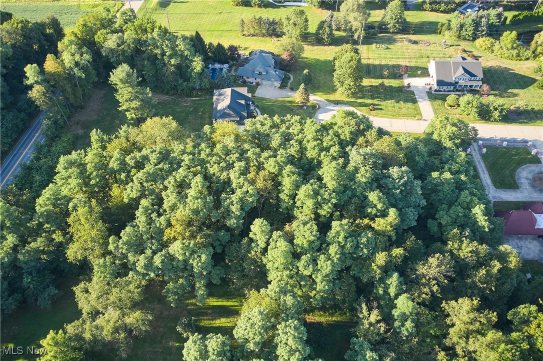 Arbour Green - Land
