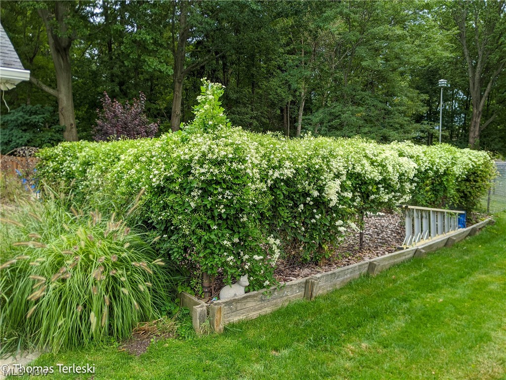 Village Blvd - Residential