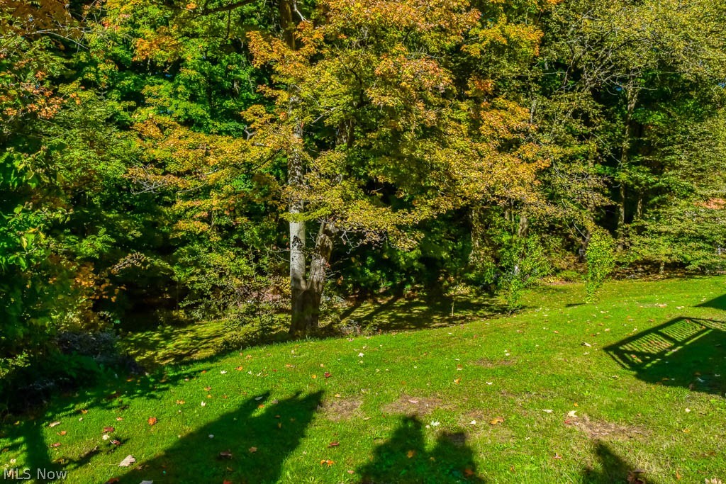 Hickin Allotment - Residential