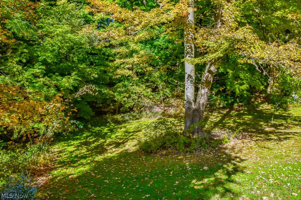 Hickin Allotment - Residential