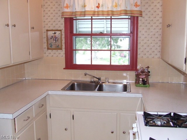 Buena Vista Villas Allotment - Residential