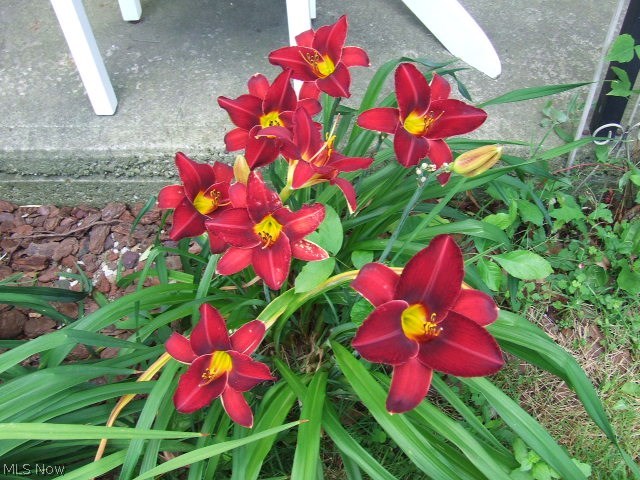 Buena Vista Villas Allotment - Residential