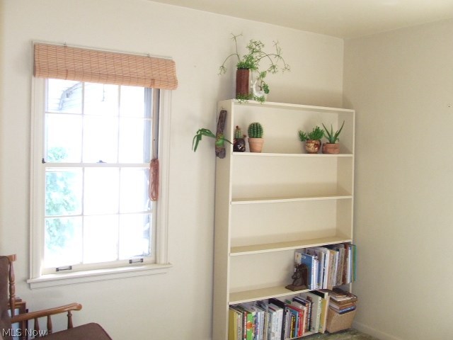 Buena Vista Villas Allotment - Residential